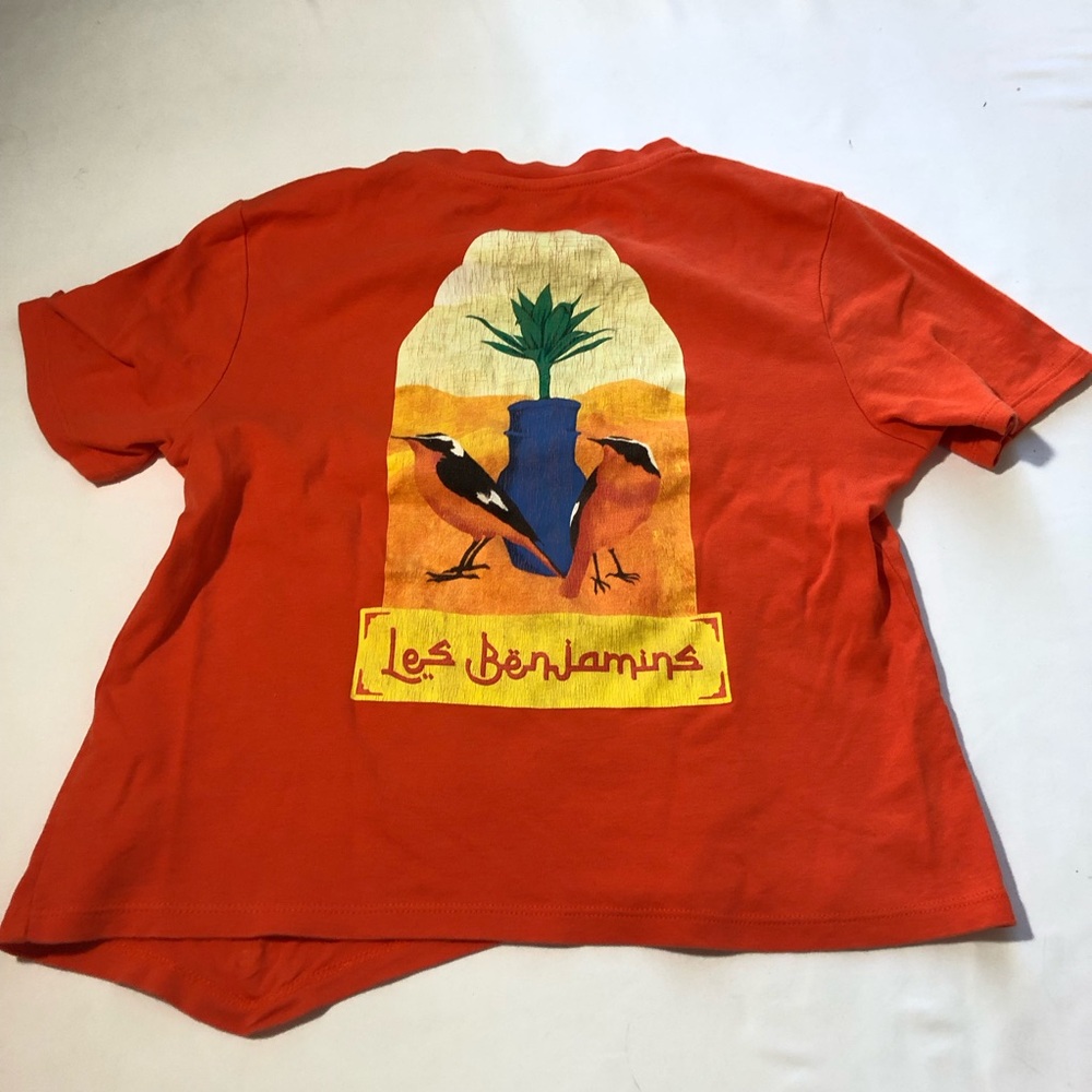 Les benjamins flame orange crop tshirt bird print womens S streetwear